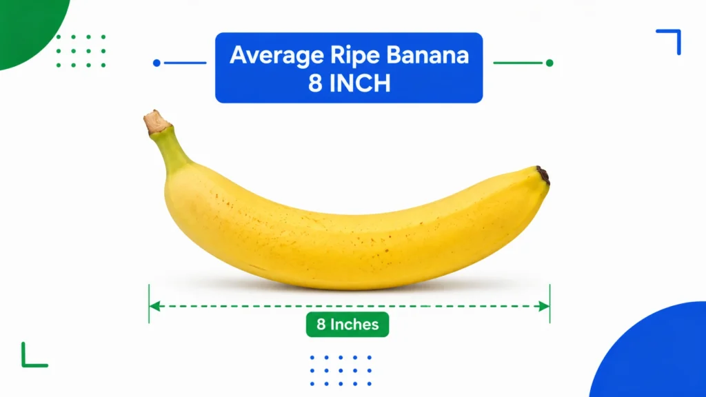 Average Ripe Banana