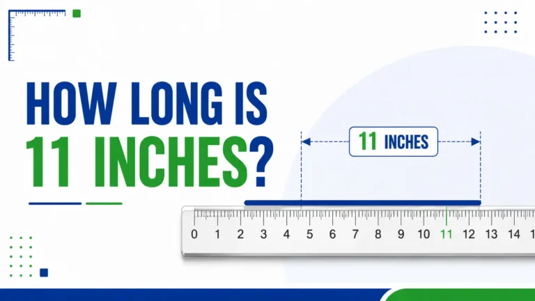 How Long Is 11 Inches