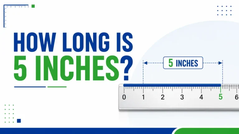 How Long Is 5 Inches